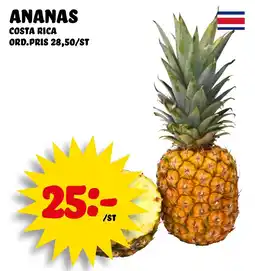 Nelins Ananas erbjuda