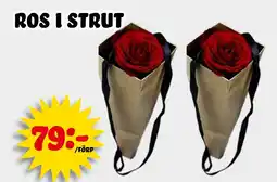 Nelins Ros i strut erbjuda