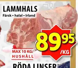 Matvärlden Tensta LAMMHALS erbjuda