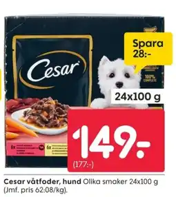 Rusta Cesar våtfoder, hund erbjuda