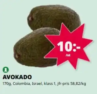 Avokado