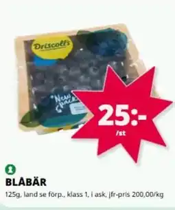 Tempo Blåbär erbjuda