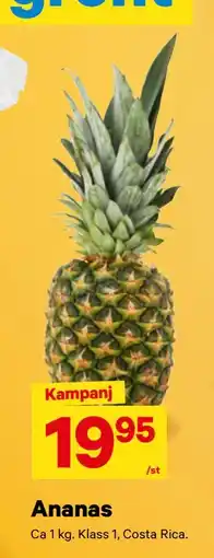 City Gross Ananas erbjuda