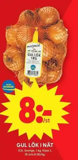 ICA Maxi Gul lök i nät erbjuda