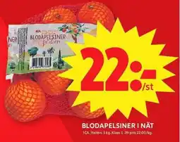 ICA Maxi Blodapelsiner i nät erbjuda