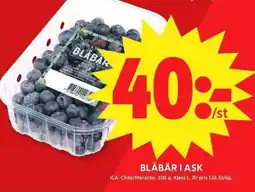 ICA Maxi Blåbär i ask erbjuda