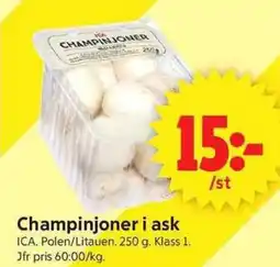 ICA Supermarket Champinjoner i ask erbjuda