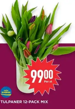 Willys Tulpaner 12-pack mix erbjuda