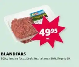 Tempo Blandfärs erbjuda