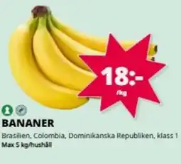 Tempo Bananer erbjuda