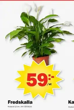 Pekås Fredskalla erbjuda