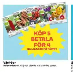 Coop Daglivs Vårfröer erbjuda