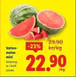 Lidl Vatten- melon mini erbjuda