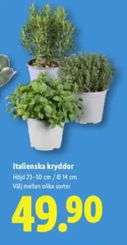 Lidl Italienska kryddor erbjuda