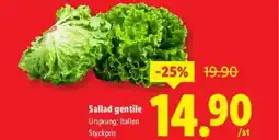 Lidl Sallad gentile erbjuda