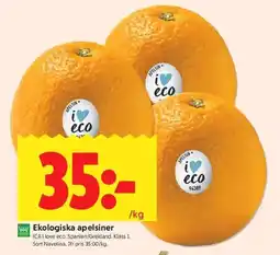ICA Kvantum ICA I LOVE ECO Ekologiska apelsiner erbjuda