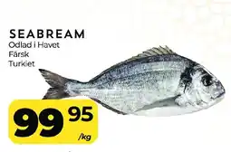 Matrix Butikerna Seabream erbjuda