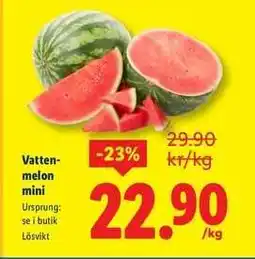 Lidl Vattenmelon mini erbjuda
