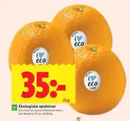 ICA Supermarket Ekologiska Apelsiner erbjuda
