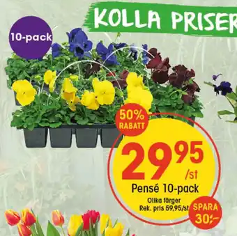 EKO Pensé 10-pack erbjuda