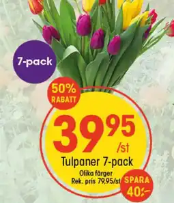 EKO Tulpaner 7-pack erbjuda