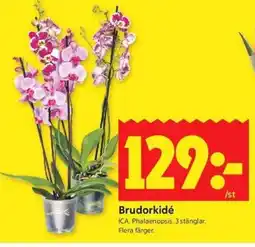 ICA Kvantum ICA Brudorkidé erbjuda