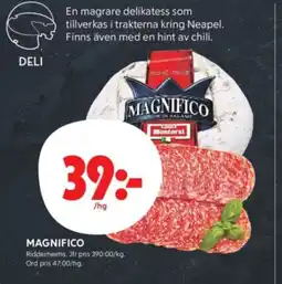 ICA Kvantum Magnifico Ridderheims erbjuda