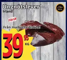 Supergrossen Ungnötslever Irland erbjuda