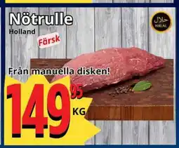 Supergrossen Nötrulle Holland erbjuda