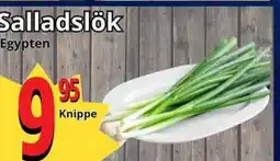 Supergrossen Salladslök erbjuda