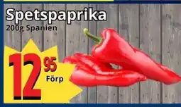 Supergrossen Spetspaprika erbjuda