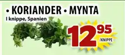 Matvärlden Tensta Koriander *mynta erbjuda