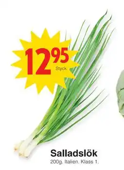 Matöppet Salladslök erbjuda