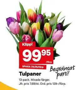 City Gross Tulpaner erbjuda