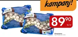 Snabbgross Champinjoner erbjuda