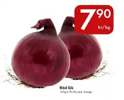 Snabbgross Röd lök erbjuda