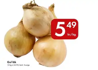 Snabbgross Gul lök erbjuda