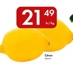 Snabbgross Citron erbjuda