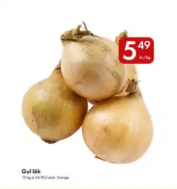 Snabbgross Gul lök erbjuda