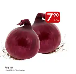 Snabbgross Röd lök erbjuda