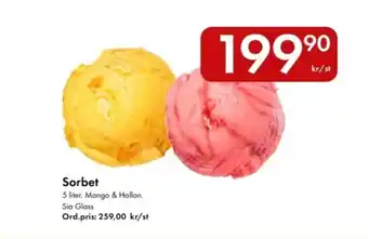Sorbet