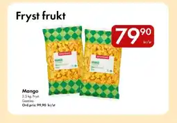 Snabbgross GASTRINO Mango erbjuda
