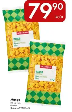 Snabbgross GASTRINO Mango erbjuda