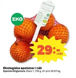 Coop Daglivs Ekologiska apelsiner i nät erbjuda
