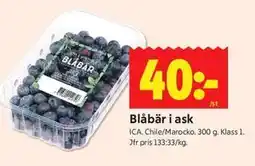 ICA Kvantum Blåbär i ask erbjuda