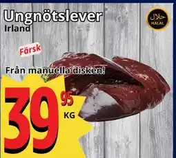 Supergrossen Ungnötslever erbjuda