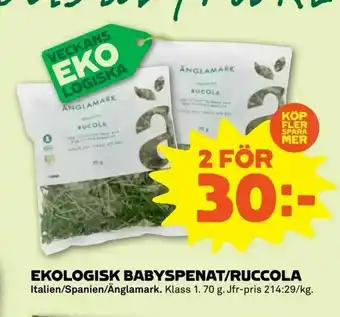 Coop Forum Ekologisk babyspenat/ruccola erbjuda