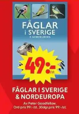 ICA Maxi Fåglar i sverige & nordeuropa erbjuda