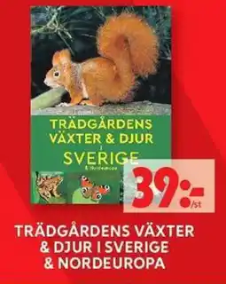 ICA Maxi Trädgårdens växter & Djur i sverige & Nordeuropa erbjuda