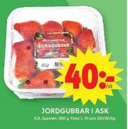 ICA Maxi ICA Jordgubbar i ask erbjuda